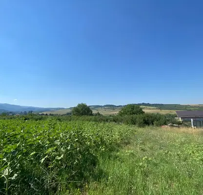 Снимка 4 — Парцел в Перник, с. Драгичево