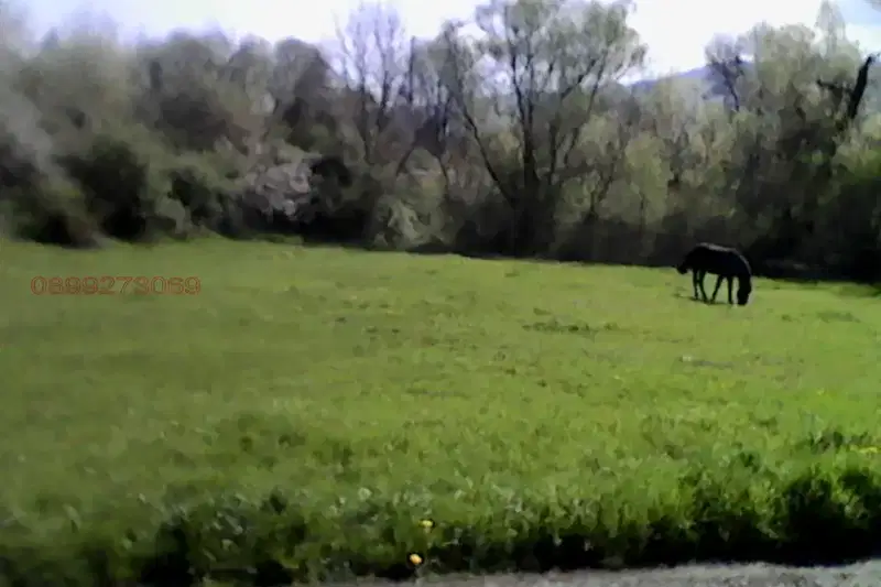 Plot in Oblast Pernik, Dragichevo