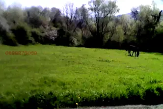 Парцел в Перник, с. Драгичево
