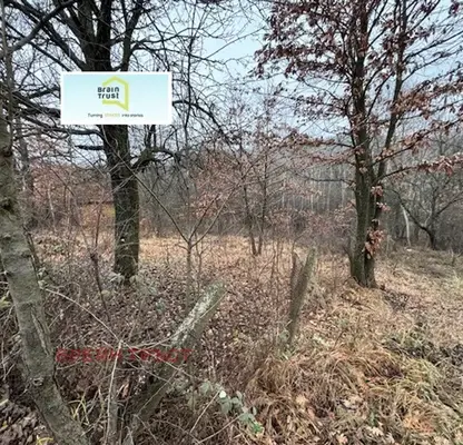 Photo 2 — Plot in Oblast Pernik, Dragichevo