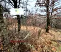 Снимка 3 — Парцел в Перник, с. Драгичево