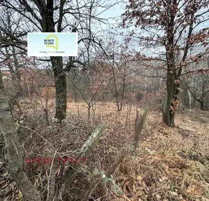 Photo 3 — Plot in Oblast Pernik, Dragichevo