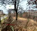 Снимка 4 — Парцел в Перник, с. Драгичево