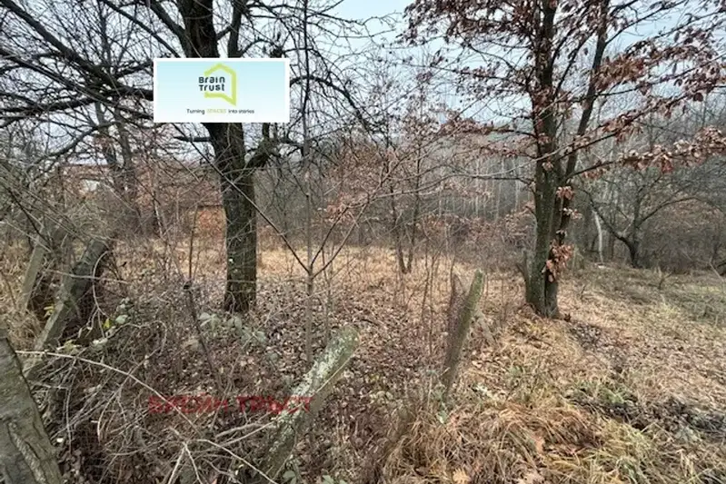 Plot in Oblast Pernik, Dragichevo
