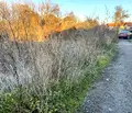 Снимка 3 — Парцел в Перник, с. Драгичево