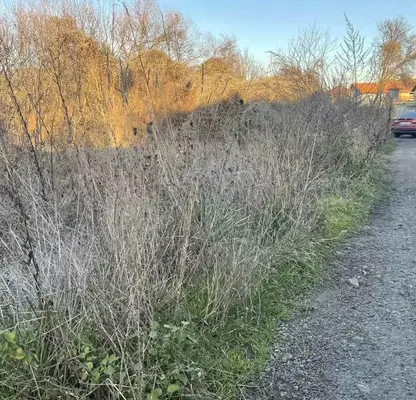 Photo 3 — Plot in Oblast Pernik, Dragichevo