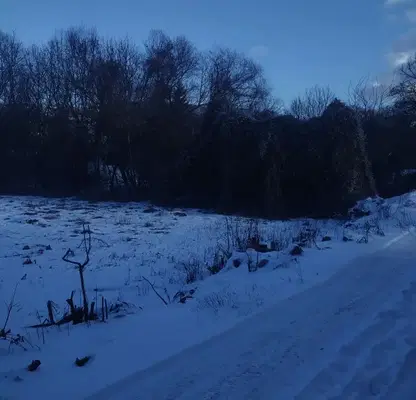 Photo 2 — Plot in Oblast Pernik, Dragichevo