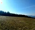 Снимка 4 — Парцел в Перник, с. Драгичево