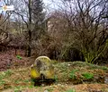 Снимка 4 — Парцел в Перник, с. Дрен