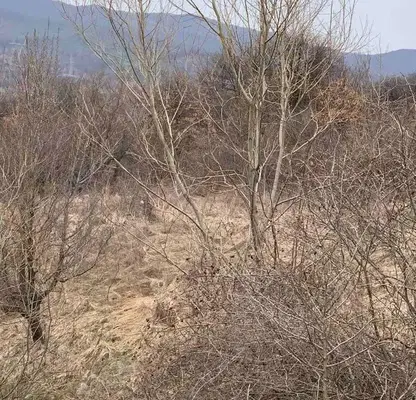 Снимка 2 — Парцел в Перник, с. Големо Бучино