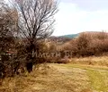 Снимка 5 — Парцел в Перник, с. Големо Бучино