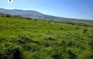Парцел в Перник, с. Големо Бучино