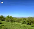 Снимка 2 — Парцел в Перник, с. Големо Бучино