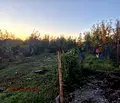 Снимка 5 — Парцел в Перник, с. Големо Бучино