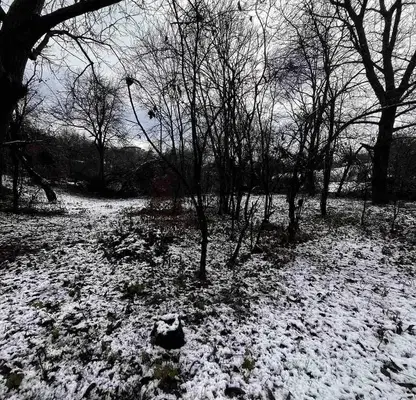 Photo 2 — Plot in Oblast Pernik, Golemo Buchino
