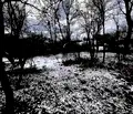 Снимка 3 — Парцел в Перник, с. Големо Бучино