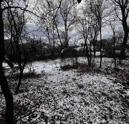 Photo 3 — Plot in Oblast Pernik, Golemo Buchino