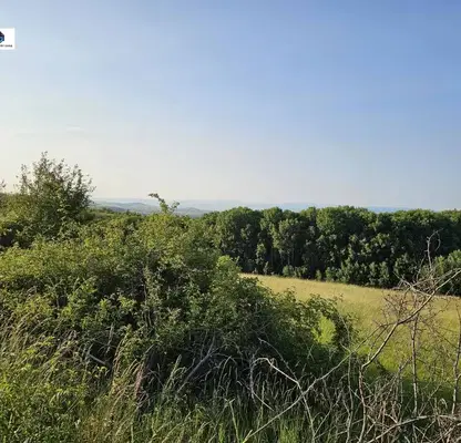 Photo 3 — Plot in Oblast Pernik, Golemo Buchino