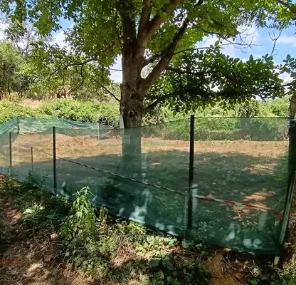 Photo 2 — Plot in Oblast Pernik, Gorna Dikanya