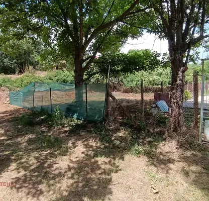 Photo 3 — Plot in Oblast Pernik, Gorna Dikanya