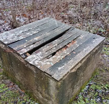 Photo 2 — Plot in Oblast Pernik, Gorna Dikanya