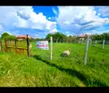 Снимка 4 — Парцел в Перник, с. Извор