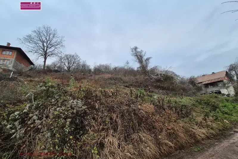 Plot in Oblast Pernik, Izvor