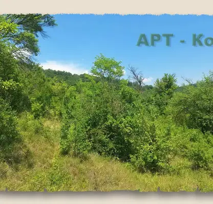 Photo 3 — Plot in Oblast Pernik, Kalishte