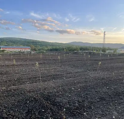 Photo 4 — Plot in Oblast Pernik, Kondofrei