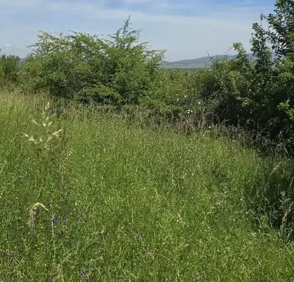 Photo 2 — Plot in Oblast Pernik, Kondofrei