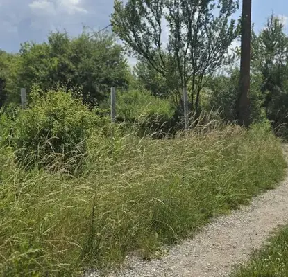 Photo 3 — Plot in Oblast Pernik, Kondofrei