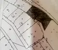 Снимка 4 — Парцел в Перник, с. Кондофрей