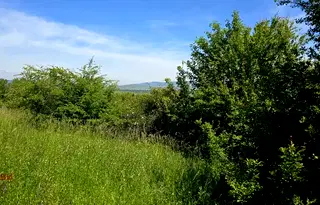 Парцел в Перник, с. Кондофрей