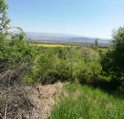 Photo 2 — Plot in Oblast Pernik, Kondofrei
