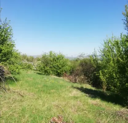 Photo 5 — Plot in Oblast Pernik, Kondofrei