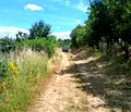 Снимка 2 — Парцел в Перник, с. Кондофрей