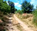 Снимка 4 — Парцел в Перник, с. Кондофрей