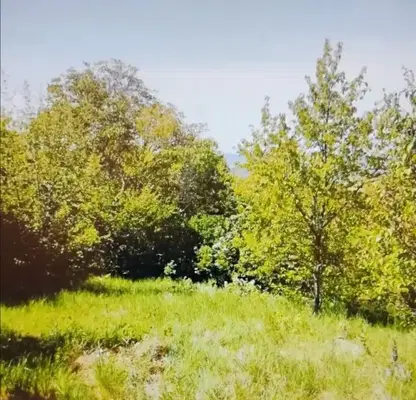 Photo 3 — Plot in Oblast Pernik, Kondofrei