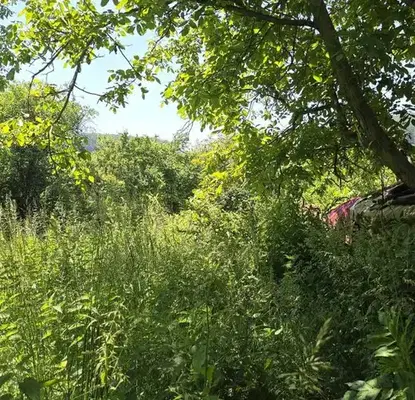 Photo 2 — Plot in Oblast Pernik, Kondofrei