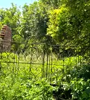 Парцел в Перник, с. Кондофрей