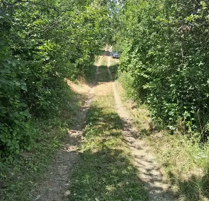 Photo 2 — Plot in Oblast Pernik, Kondofrei