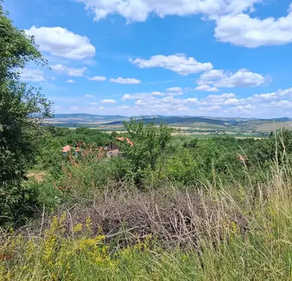 Photo 4 — Plot in Oblast Pernik, Kondofrei