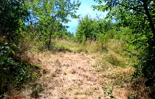 Парцел в Перник, с. Кондофрей