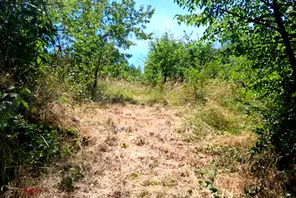 Парцел в Перник, с. Кондофрей