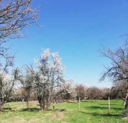 Photo 2 — Plot in Oblast Pernik, Kondofrei