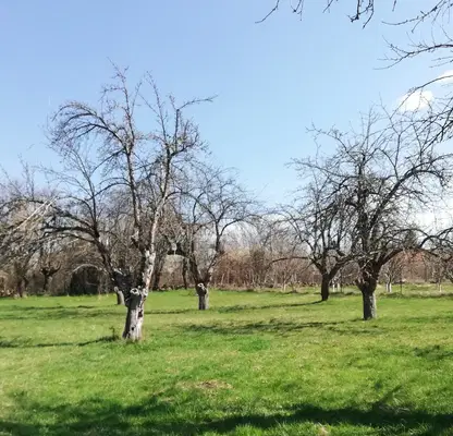 Photo 3 — Plot in Oblast Pernik, Kondofrei