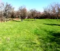 Снимка 4 — Парцел в Перник, с. Кондофрей