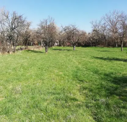Photo 4 — Plot in Oblast Pernik, Kondofrei