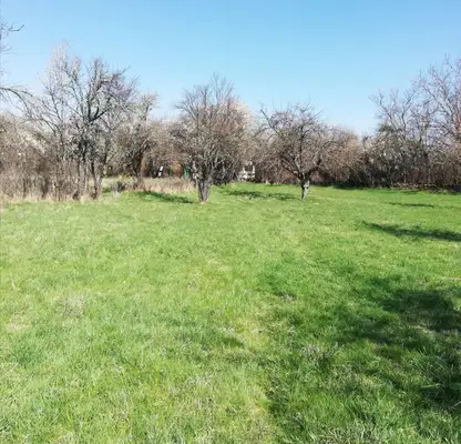 Photo 5 — Plot in Oblast Pernik, Kondofrei