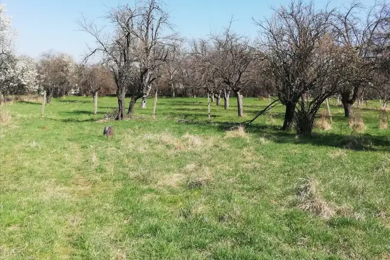 Plot in Oblast Pernik, Kondofrei